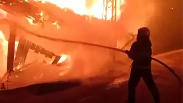 Bilecik'in Bozüyük ilçesinde korulukta yangın çıktı