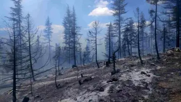 Karaman'ın Ermenek ilçesinde orman yangını