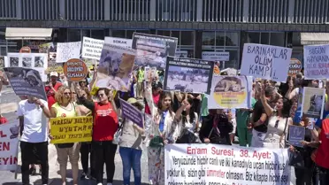 Ankara'da Hayvanseverler Sahipsiz Hayvanlara Yapılacak Düzenlemeyi Protesto Etti