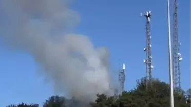 Edirne İpsala'da Orman Yangını Kontrol Altına Alındı