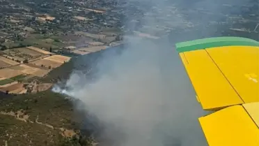 Muğla'da Orman Yangını Havadan ve Karadan Söndürüldü