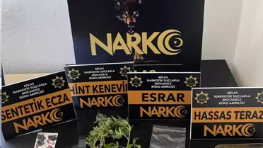 Muğla'da Narkotik Operasyonları: 96 Operasyon Gerçekleştirildi