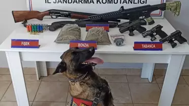 Zonguldak'ta Uyuşturucu Operasyonunda 3 Tutuklama