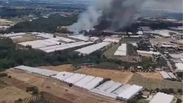 Antalya Aksu'da Orman Yangınına Müdahale Ediliyor