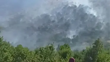 Siirt'te çıkan yangınlar kontrol altına alındı