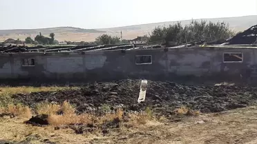 Yozgat'ta çıkan yangında 2 büyükbaş hayvan telef oldu