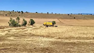 Eskişehir Yayla Mahallesi'nde Hububat Hasadı Başladı