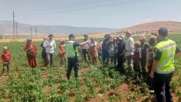 Gaziantep'te 357 Tarım İşçisine Trafik Güvenliği Eğitimi Verildi