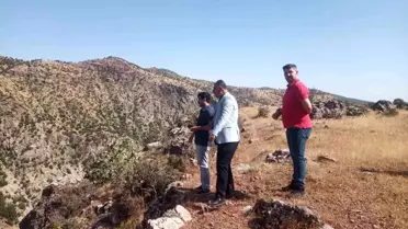 Siirt'te çıkan anız yangını kontrol altına alındı