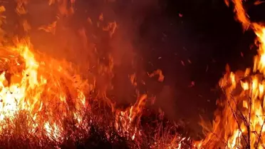 Tunceli'de çıkan yangın söndürüldü