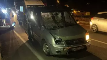 Bingöl'de İneğe Çarpan Araçta 1 Kişi Yaralandı