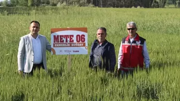 Sorgun'da Hububat Çeşitleri Deneme Ekimine Tabi Tutuldu