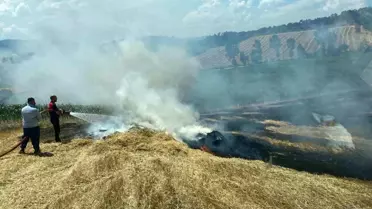 Bolu'da Arpa Tarlasında Yangın: Samanlar Küle Döndü