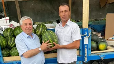 Vezirköprü Ziraat Odası Başkanı Karpuz Üreticilerini Ziyaret Etti