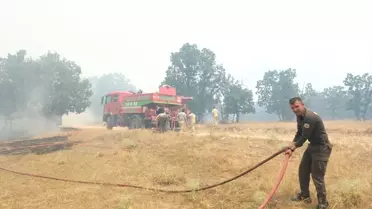 Edirne'nin Lalapaşa ilçesinde orman yangınına müdahale devam ediyor