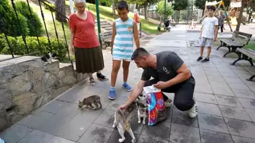 Üsküdar Belediyesi Sokak Hayvanlarına Mama Yardımı Başlattı