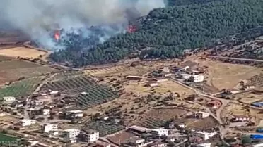 Manisa Gölmarmara'da Orman Yangını