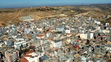 Mardin'de araç çarpması sonucu yaşlı kadın hayatını kaybetti