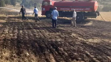 Çorum Dodurga'da Mangal Yangını: 6 Dekar Alan Zarar Gördü