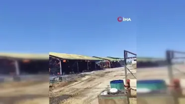 Hayvan çiftliğinde saman yangını çıktı