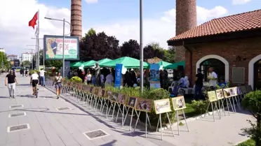 Tepebaşı Belediyesi Satın Alma Sahiplen Şenliği ile Sokak Hayvanları Yuvaya Kavuştu