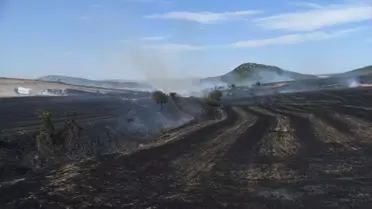 Keşan'da çıkan anız yangını söndürüldü