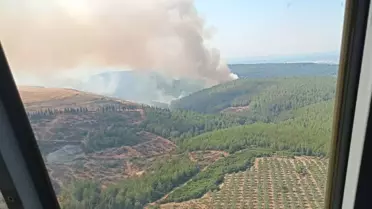 İzmir Menderes'te Orman Yangını Çıktı