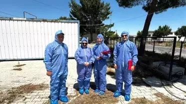 Başmakçı'da Tavuk ve Yumurta Üretimi Tesislerine Denetim