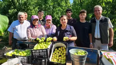 Çanakkale'nin Bayramiç ilçesinde AB Coğrafi İşaret tescilli nektarin üretimi bekleniyor