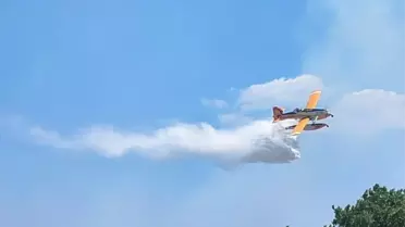 Çanakkale Ayvacık'ta Zeytinlik Alanında Yangın