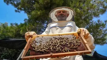 Antalya'da Emekli Bekçi Arıcılıkla Hayatta Kalıyor