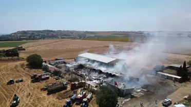 Tekirdağ'da çiftlik yangınında 15 bin saman balyası zarar gördü