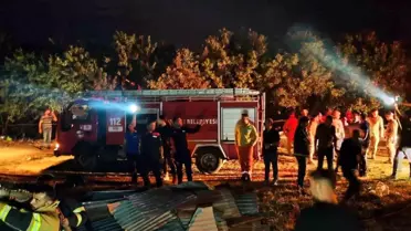 Tunceli Pertek'te çıkan yangında 26 büyükbaş hayvan telef oldu