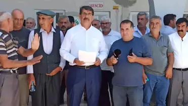 Malatya Kayısı Üreticileri Fiyatların Düşüklüğünden Şikayetçi