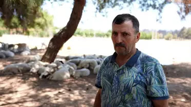 İzmir'deki Orman Yangınında Evleri Tehlike Altında Olan Vatandaşlar Dua Ediyor