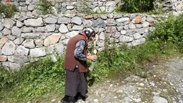 Rize'deki Kaçkar Dağları Milli Parkı'nda çöp sorununa karşı kampanya başlatıldı