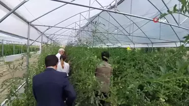 Mudurnu'da istihdam için 'Hünerli Eller Projesi'