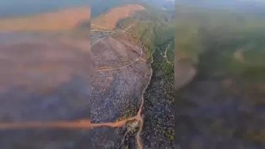 Uşak'taki Orman Yangınları Kontrol Altına Alındı