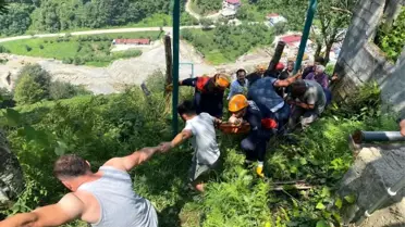 Rize'de Çay Toplarken Elektrik Akımına Kapılan Genç Hayatını Kaybetti