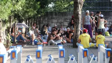Sahipsiz Sokak Hayvanlarına İlişkin Kanun Teklifi Değişti