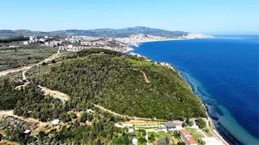 Bursa'da Çamlık orman ihalesine Mudanya ve Büyükşehir Belediyesi birlikte katıldı