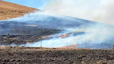Elazığ'da dağlık alanda çıkan yangın kontrol altına alındı
