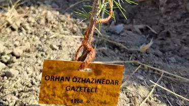 Sungurlu Belediyesi Basın Bayramı dolayısıyla fidan dikti
