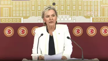 İYİ Parti İstanbul Milletvekili Nimet Özdemir Partiden İstifa Etti