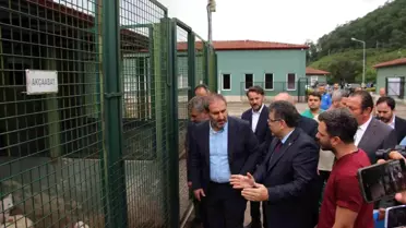 AK Parti Genel Başkan Yardımcısı Şen: 'İt taparların ve it savarların aklıyla hiçbir şey yapılamaz'