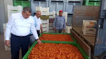 Malatya Ticaret Borsası, Üreticilere Ürünlerini Depolara Getirmeleri Çağrısında Bulundu