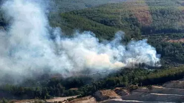 Muğla'da çıkan orman yangını kısmen kontrol altına alındı