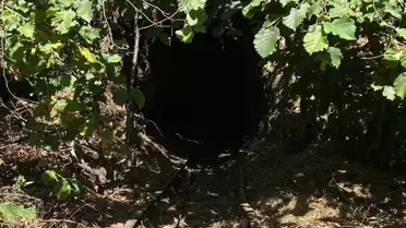 Zonguldak'ta ruhsatsız maden ocağı kapatıldı