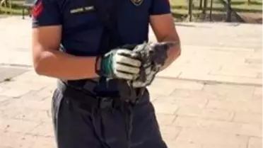 Sivas'ta tuvalete düşen yavru kedi itfaiye ekipleri tarafından kurtarıldı