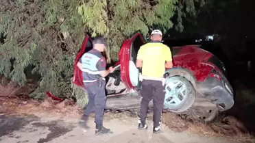 Antalya'da araç ağaca çarptı: 2 kişi ağır yaralandı